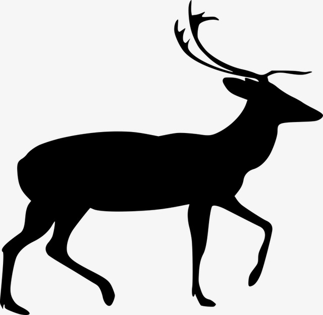 640x625 Elk Silhouette, Animal, Elegant, Black White Png Image