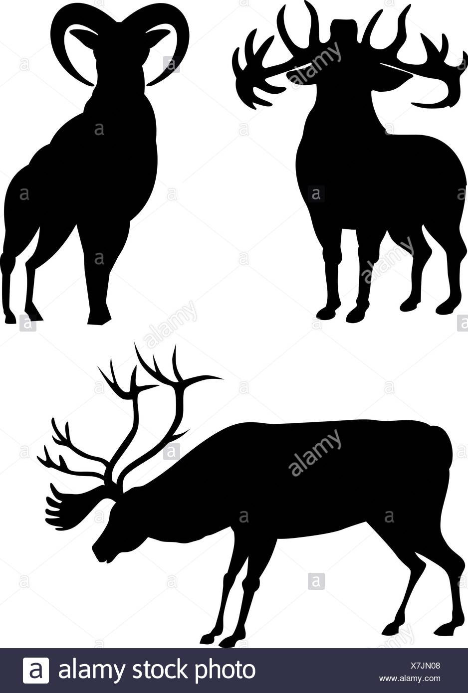 938x1390 Elk Silhouette Stock Photos Amp Elk Silhouette Stock Images