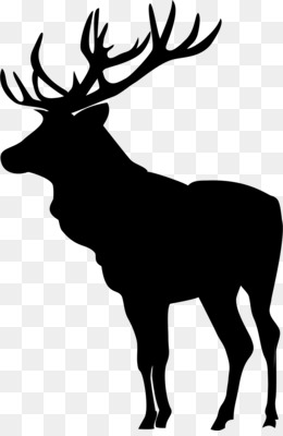 260x400 Deer Elk Antler Horn