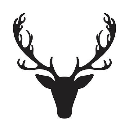 416x416 Deer Head Vector Illustration Isolated Elk Silhouette Stock
