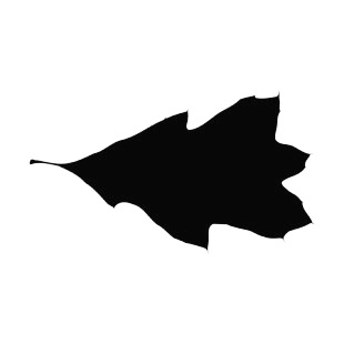 310x310 Elm Leaf Silhouette Plants Decals, Decal Sticker