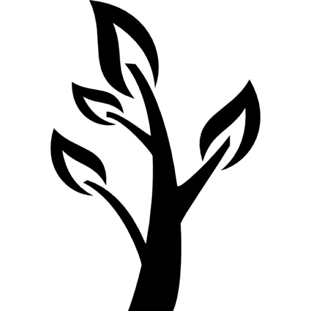 626x626 Elm Tree Icons Free Download