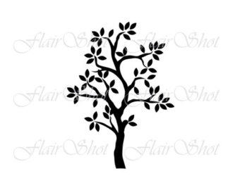 340x270 Tree Clipart Tree With White Blossoms Clipart Graphics Tree