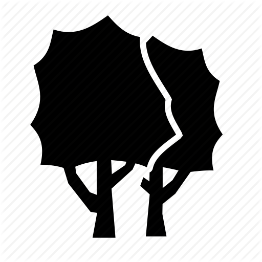 512x512 Cypress, Elm, Forest, Juniper, Maple Trees, Oak, Sycamore Icon