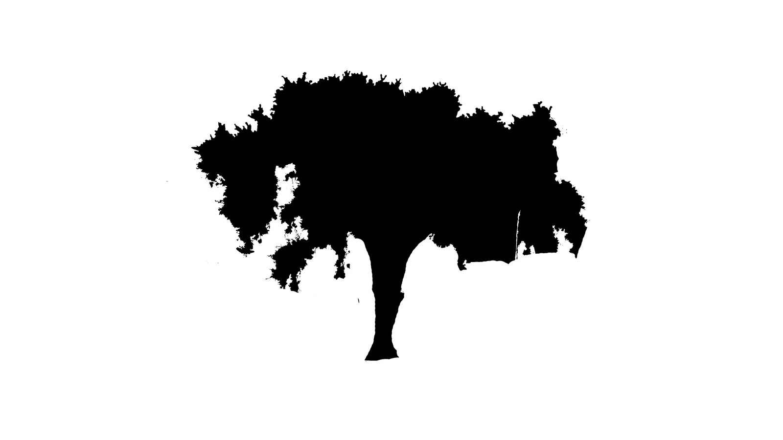 1600x900 Elm Productions Sip