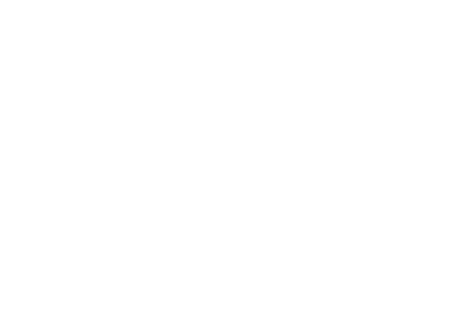 420x300 Elvis Presley Wallstickers