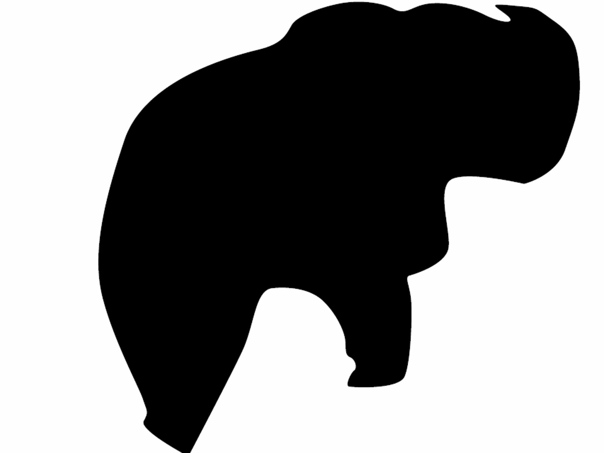 2048x1536 Collecting Famous People's Hair How Much Would You Pay