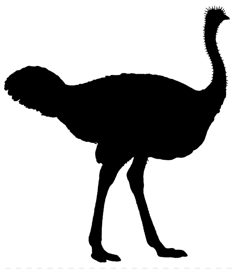900x1020 Common Ostrich Flightless Bird Silhouette Clip Art