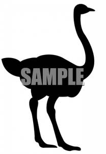 208x300 Of An Ostrich Or Emu Clip Art Image