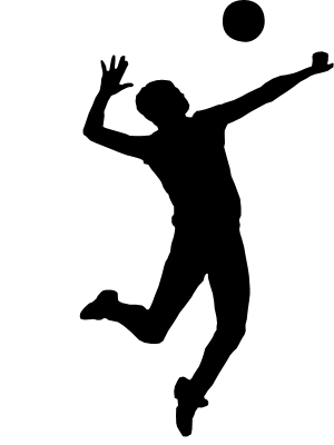 300x400 Imleagues Engineer Open (Rensselaer Polytechnic Institute