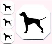 200x171 English Pointer