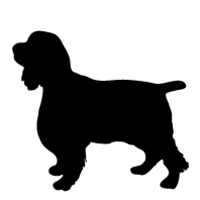 200x200 Best Friends Studios