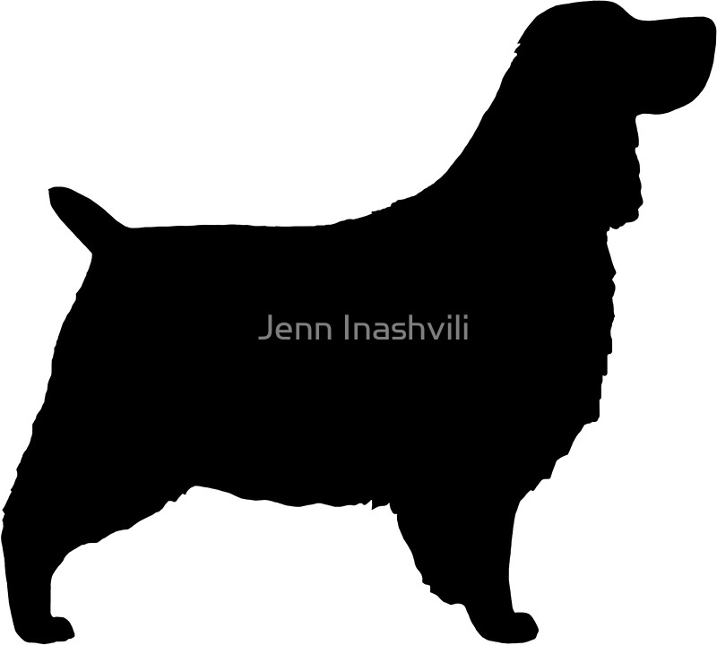 800x720 English Springer Spaniel Silhouette(S) Stickers By Jenn Inashvili