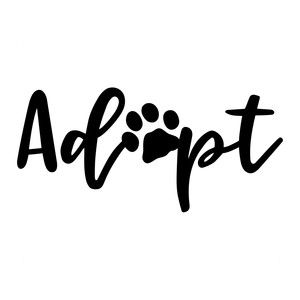 300x300 3222 Best Craftysilhouette Cameo Cricut Vinyl Images