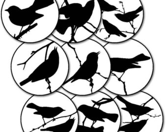 340x270 Svg, Dxf, Eps, Birds On A Branch, Tessie Maes, Cutting File