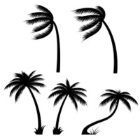 200x200 Trees Silhouette, Vector Stock Vector