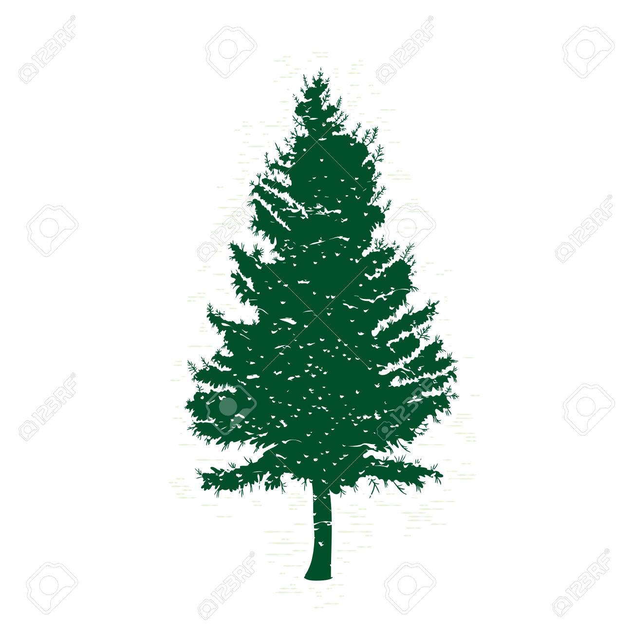 1300x1300 Evergreen Tree Outline