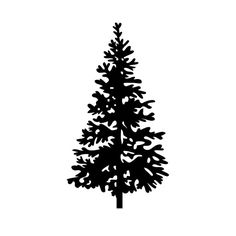 236x236 Tree Clip Art Pine Tree Clipart Free Projects To Try