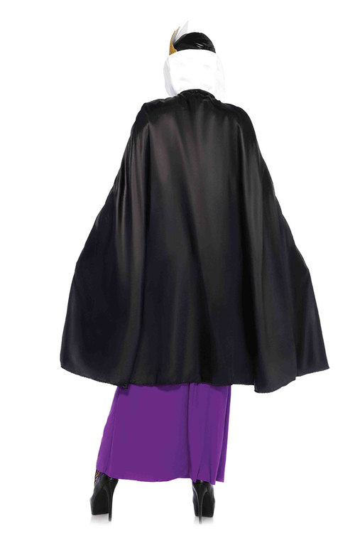 500x750 Evil Queen Adult Costume