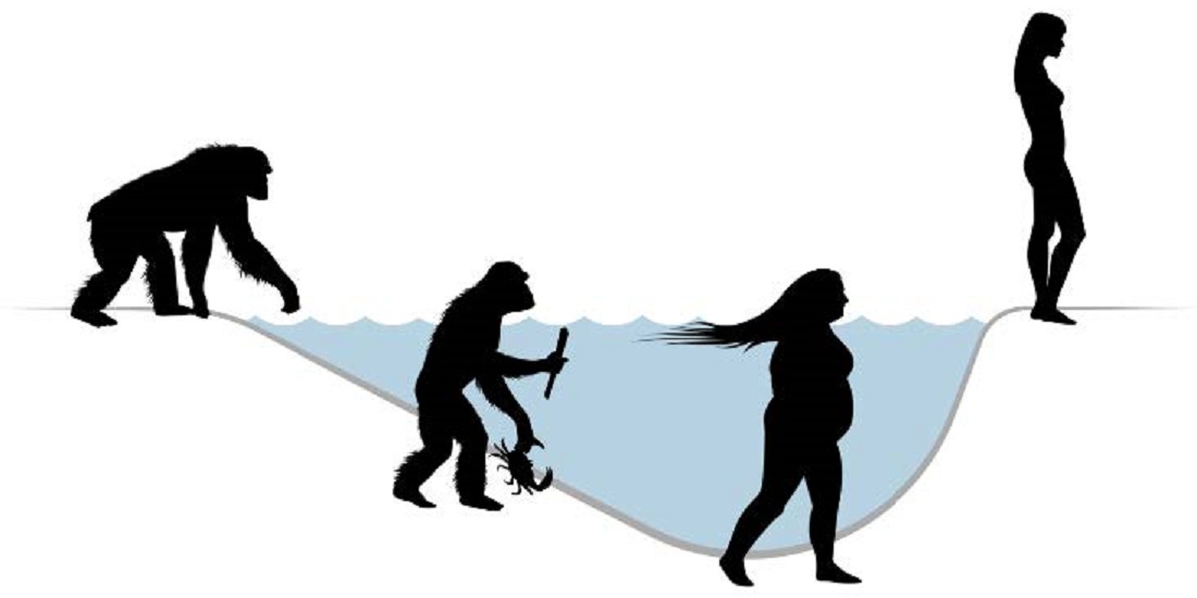 1100x550 Human Evolution In The Sea