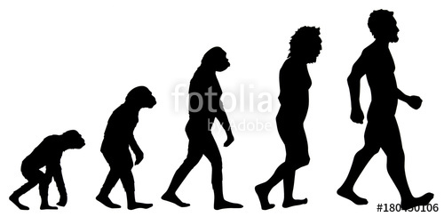 500x244 Human Evolution Graphic Stock Photo And Royalty Free Images