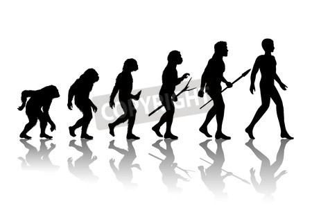 450x300 Vector Of Man Evolution. Silhouette