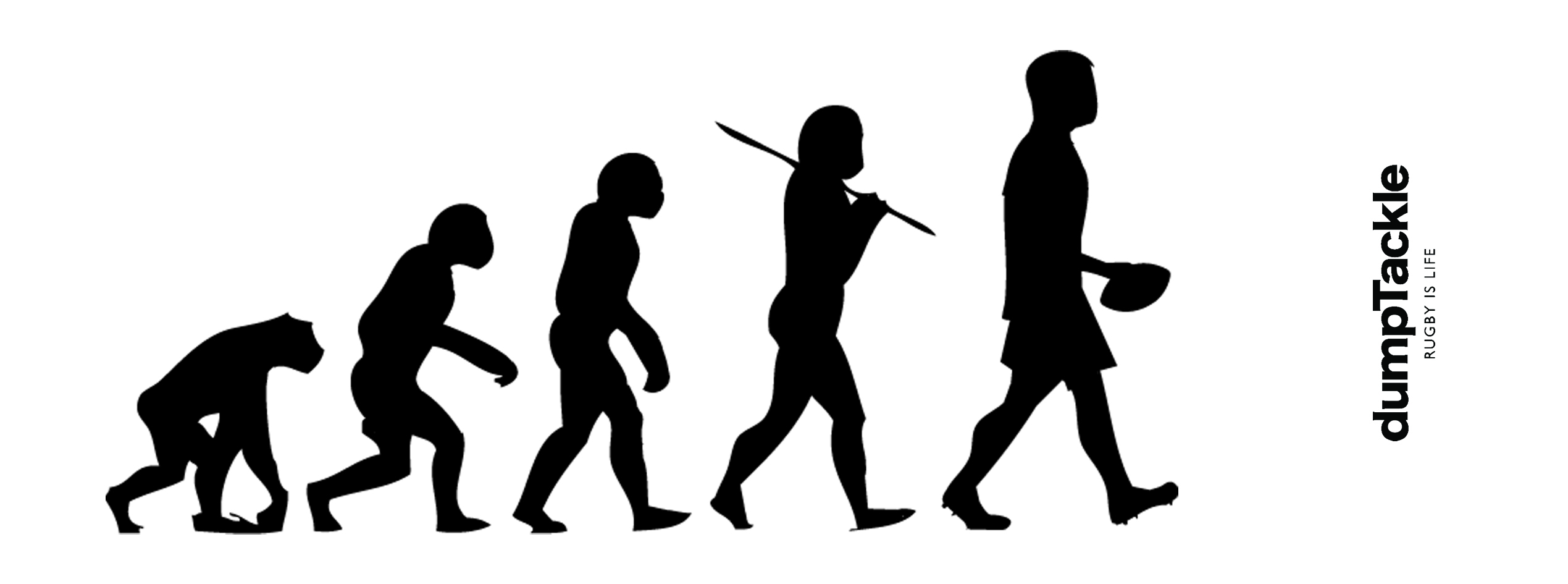 2539x945 Evolution Of Man