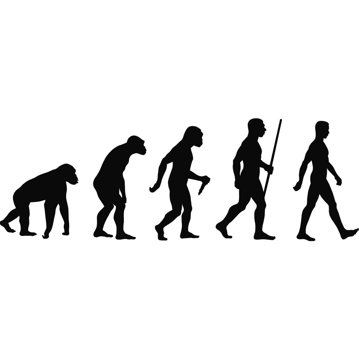 1200x1200 Evolution Of Man Sihouette Wall Art Stickers Wall Decal Transfers