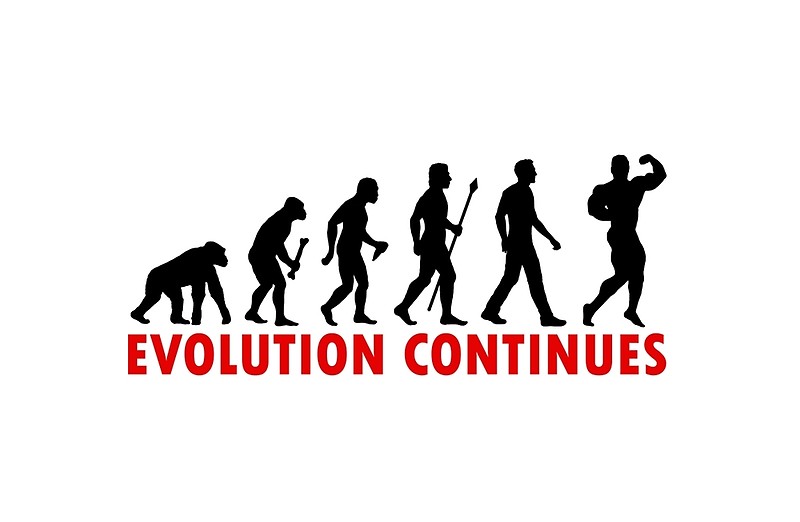 800x522 Funnny Bodybuilding Evolution Of Man Pose Silhouette Laptop Skins