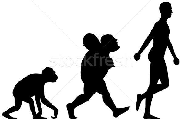 600x395 Human Evolution Silhouette Vector Illustration Carbouval