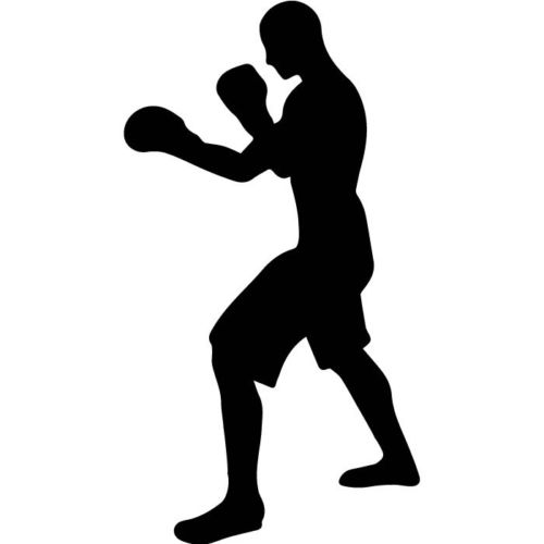500x500 Boxer Boxing Silhouette Extreme Sports Amp Fighting Wall Stickers