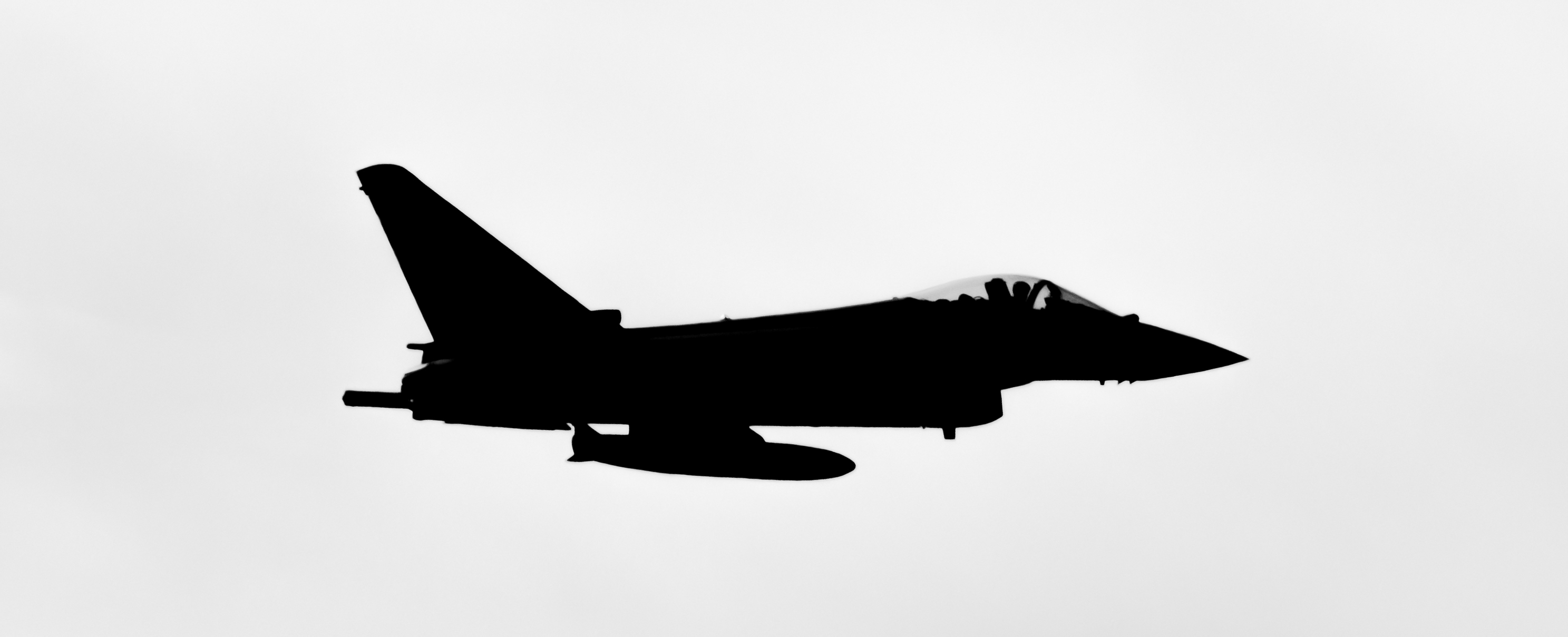 2975x1209 Fileeurofighter Typhoon Silhouette.jpg