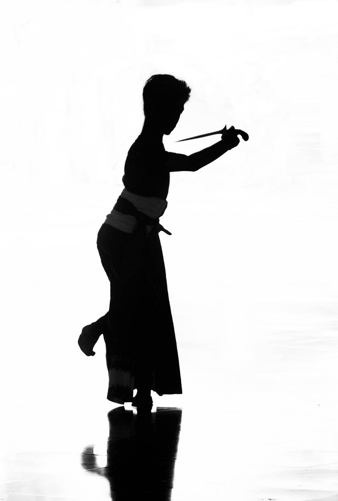 690x1024 The World's Best Photos Of F35 And Silhouette