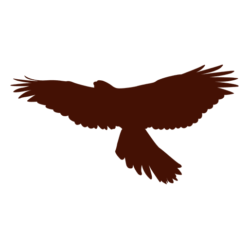 512x512 Falcon Bird Silhouette
