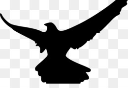 260x180 Free Download Silhouette Bird Falcon Clip Art