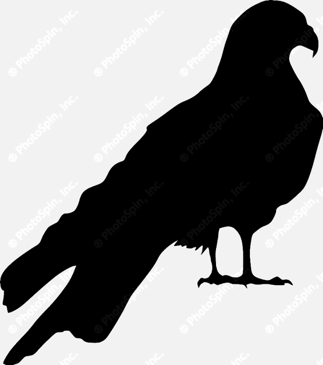 640x723 Image By Oleksander Kovalenko