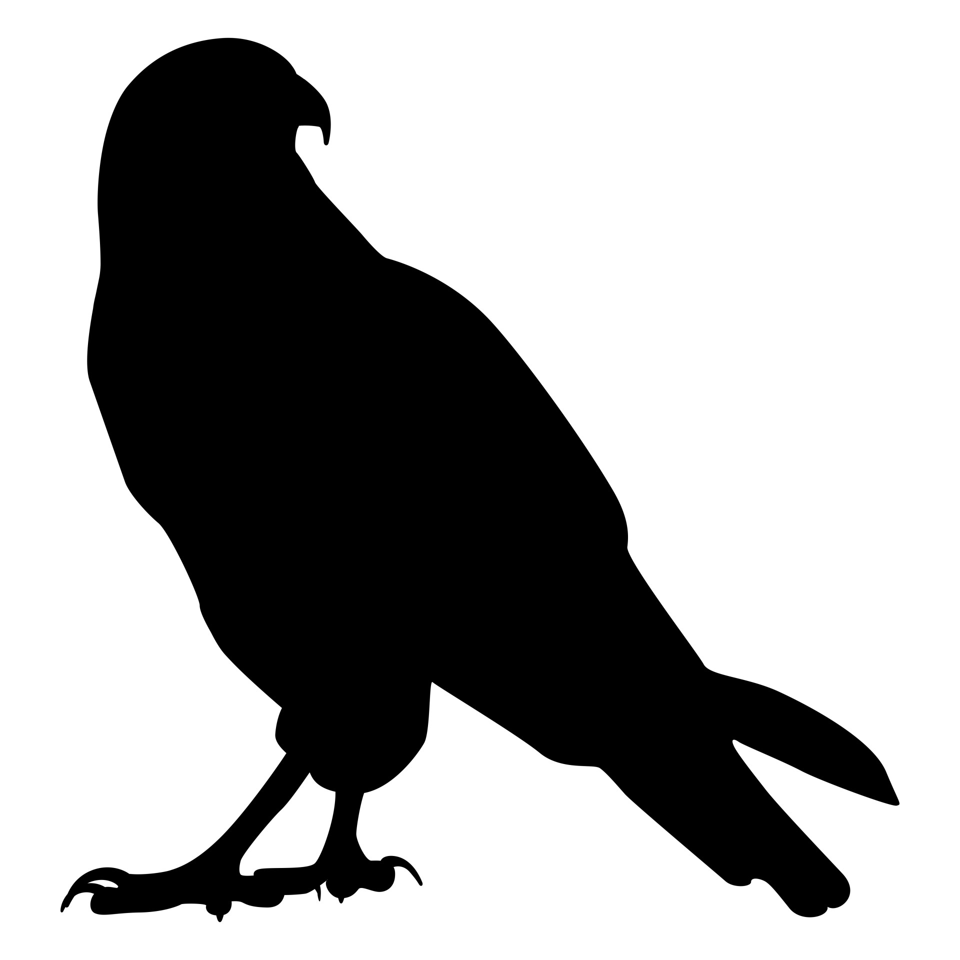 1920x1920 Silhouette Of Falcon Free Stock Photo