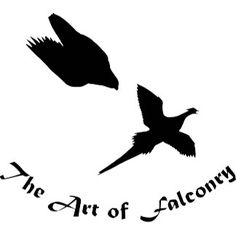236x236 Peregrine Falcon Silhouette Tattoo Inspiration