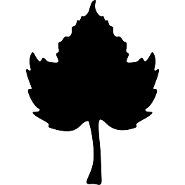 263x262 Pumpkin Leaf Silhouette Woodbuning Silhouettes