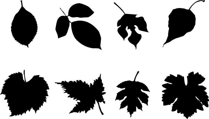 800x457 Autumn Leaves Silhouette Set In Black