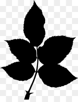 260x340 Free Download Autumn Leaf Color Silhouette