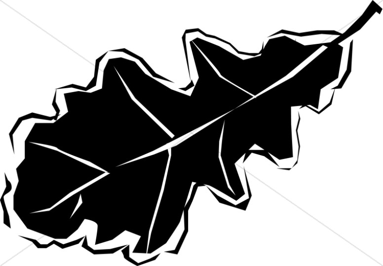 776x540 Leaves On Branch Fall Leaf Clipart