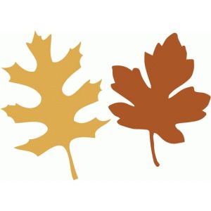 300x300 Silhouette Design Store