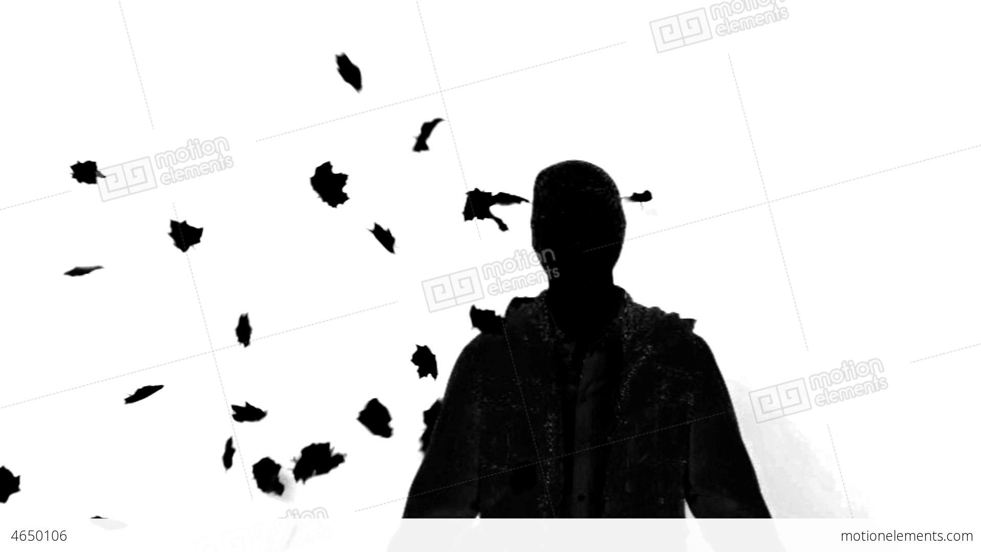1920x1080 Silhouette Of A Man Under Falling Leaves On White Stock Video