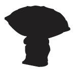 146x136 Stewie Family Guy Silhoutte Custom Vinyl Graphic By Vinylgrafix