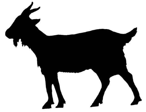 600x462 Goats Head Clipart Silhouette