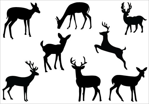 501x351 Deer Family Silhouette Clip Art