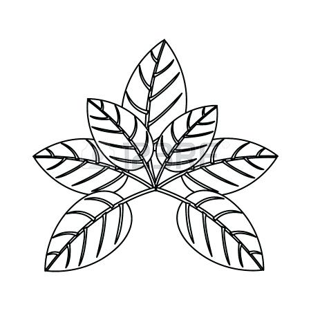 450x450 Outline Tree With Leaves And Trunk Vector Illustration Royalty