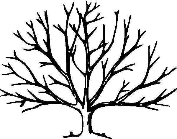 600x469 Drawing A Tree Without Leaves Kids Drawing Coloring Page Craft