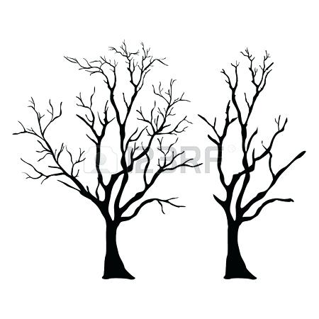 450x450 Emerging Tree Outline Image Best Ideas On Simply Emerging Tree